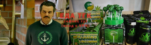 сатива Магас