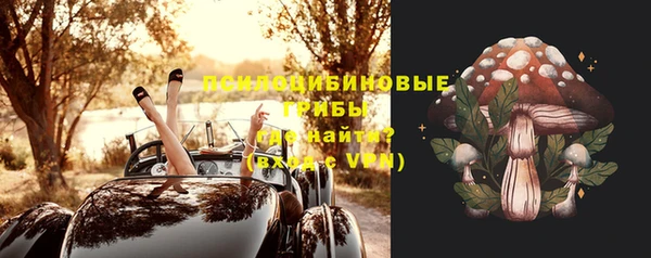 не бодяженный Лабытнанги